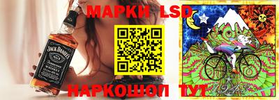 стаф Новодвинск