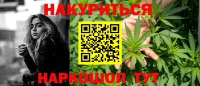 стаф Новодвинск