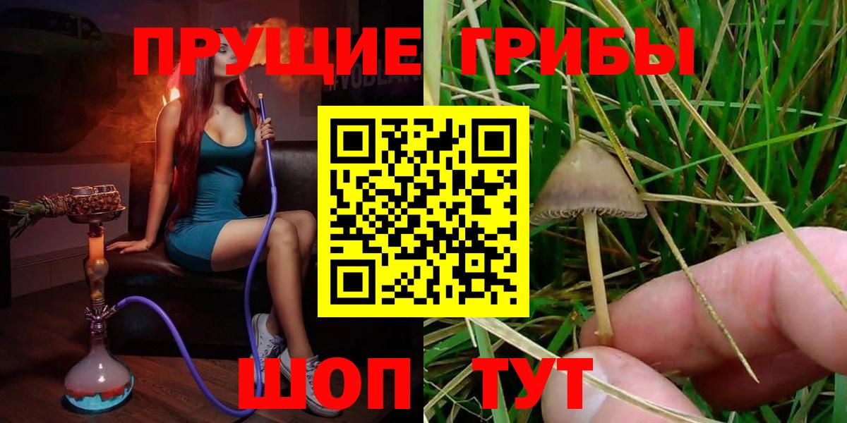 Сочи  Галлюциногенные грибы Cubensis  Вход с VPN  Псилоцибиновые грибы Magic Shrooms 